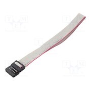 DS1052-01-142B2MA203001 Ribbon cable with IDC connectors; Tape ph: 1mm; Contacts ph: 2mm _9xv1oaNwtODVepbtzCS0lOPRuqOdIi_QOEM2nWPgC0