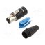 RT4FC-B Connector: XLR mini; plug; female; 5A; 500V; PIN: 4; straight; 24AWG bihatglp328jZWcKVPE9jCQN9sBDlyTM86GjOccfejg