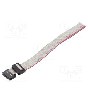 DS1052-01-122B2MA203001 Ribbon cable with IDC connectors; Tape ph: 1mm; Contacts ph: 2mm G2sLwbvvDmloTCzjsY1jLMe2eu0eb1J8OHXPZY2K1Es