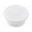 GN 53.1-ND-36-WS Magnet: permanent; neodymium; 35N; Ø: 36mm; H: 8.5mm; plastic 64ej6f52bbbwV4cICUBjtvKaEZfDjV8OXszPM2O7DDs
