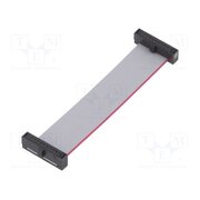 FFSD-10-D-02.50-01-N Ribbon cable with IDC connectors; IDC,both sides; 63.5mm; 2.5" uubzNej4kZhFvJPdzUe8AB--TxfRchSRUdnanOMkxSs