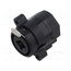 NCJ10FI-V Connector: Jack 6,3mm + XLR; socket; female; straight; THT; 3A RDvfOlA7aWydMS0PoGjYaGjVciVV0Lf5X9HeXvR5aQU
