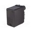 XMPA12B2131 Automation module: pressure switch; pressure; IP rating: IP54 7mkgsP-c1v2LqzO8l3GXq0WaBNxJ_2B-24kdpLgCsV8