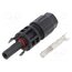 2270025-1 Connector: solar; plug; female; SOLARLOK; IP68; for cable; crimped qGmROqYdtAU2zTEJ7Nyyht7ED5CVqOV5XmaSdaqSASs