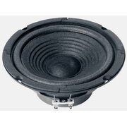 WOOFER W170 8Ω, Visaton

 GAVSZW170_8.jpg