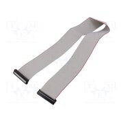 DS1052-01-402B2MA206001 Ribbon cable with IDC connectors; Tape ph: 1mm; Contacts ph: 2mm R97_7vT6Uw0V_9AVhbEaGVmSzP39LpauFyV1gKHUlTI