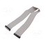 DS1052-01-402B2MA206001 Ribbon cable with IDC connectors; Tape ph: 1mm; Contacts ph: 2mm R97_7vT6Uw0V_9AVhbEaGVmSzP39LpauFyV1gKHUlTI