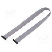FFSD-13-D-18.00-01-N Ribbon cable with IDC connectors; IDC,both sides; 457.2mm; 18" XmHrhmjFiOeH68VJ87zol5if-iUCEhPfLvkqGKEXrus