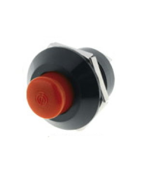 PUSH BUTTON SWITCH ON 12V 10A sarkans

 CPR017R.jpg