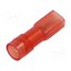 MSEPA_2,8-1/100 Terminal: flat; 2.8mm; 0.8mm; female; 0.5÷1mm2; crimped; for cable EaCPvoqdWXjFtRgBwWNce1Ctr2iuEbDpkTiZbcWUoC0