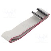 DS1052-01-302B2MA206001 Ribbon cable with IDC connectors; Tape ph: 1mm; Contacts ph: 2mm Xza67wMHd05fXSt3BcZemSwvNtUPVzZSKCEzCZZ212o