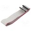 DS1052-01-302B2MA206001 Ribbon cable with IDC connectors; Tape ph: 1mm; Contacts ph: 2mm Xza67wMHd05fXSt3BcZemSwvNtUPVzZSKCEzCZZ212o