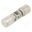 FR10GR69V10 Fuse: fuse; 10A; 690VAC; gR; ceramic,cylindrical,industrial FtlW6opDx8PGp-8emPCLSmJp-YJwsYPZ4a_BtrCxF9c