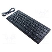 RPI-KYB US (BLACK/GREY) Accessories: keyboard; USB A-USB B micro cable,keypad -ifrfbKS19CHTwrCHzrILCK7aH3JLDR_q-QYmPH5glQ