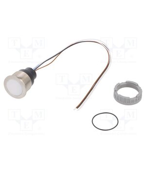 3-101-426 Switch: capacitive; Pos: 2; SPST; 0.1A/42VAC; 0.1A/60VDC; IP67; CPS A_Z_KjJST3tEdq1g8D-lck_i2vr0Dmze-PNw5CdWnSM