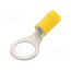 BM90343 Tip: ring; M10; Ø: 10.5mm; 4÷6mm2; crimped; for cable; insulated 90VgSwNNf5uK6cFvrGKwq5B3-aDoswOpv_T6P70ftLA