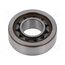 NJ 202 ECP SKF Bearing: rolling; cylindrical roller, single row; Øint: 15mm suvzmPK35Dcps_hfq_h3x_0746lV3Vjn7LD_NEG9Sn8