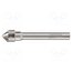0784306116100 Rotary burr; Ø: 16mm; L: 61mm; Working part len: 16mm; 6mm; metal; 3 mJg7KHtJVN0G-1GGKxeVIIdRIWfym0qrsremVOeX6h8