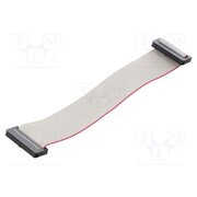 DS1052-01-262B2MA201501 Ribbon cable with IDC connectors; Tape ph: 1mm; Contacts ph: 2mm hg7kzZuBG5S9azX0_uyvayqlmLAtfbUViE3ccKwwHmc