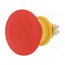 61-6461.4097 Switch: emergency stop; 16mm; Stabl.pos: 2; NC + NO x2; red; none Frc2_5W8xBKevXOHZm0VA5CiMmxMVhx_pWuIzKlRAZs