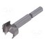 0023902800100 Machine forstner bit; for wood; Ø: 28mm; L: 90mm; Socket size: 10mm pS-FRbNruAKceOmCGUXWnMEYENgrGxDlIKPO5_DhLpc