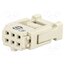 09185067813 Connector: IDC; plug; female; PIN: 6; for ribbon cable; 2.54mm; 2x3 FOcFif-Skq2B5Bpzs-mkKPvYLScGcXktyre2ltdxdwE