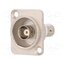 CP30123 Coupler; BNC socket,both sides; insulated; 50Ω; FT; silver; metal vbB-3Cm43K95XSNI4VfWBi8qJLLeh_lumZKRg513tZs