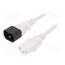 LT-602+501 H05VV-F 0.75/3C WHT 0.5M Cable; 3x0.75mm2; IEC C13 female,IEC C14 male; PVC; 0.5m; white CSeWQ8TWUWL5zDJSsNbnfX_RYeUVDZUlSOUIi36Aeb4