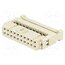 09185206813 Connector: IDC; plug; female; PIN: 20; for ribbon cable; 2.54mm 2Kbe1ph_wXOTL_JmHkZri-OzpbtB1PBuO0pwEE_LzT0