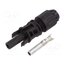 32.0262P0001 Connector: solar; plug; female; MC4 Evo stor; 47A; 1.5kV; straight d4_MwbsC3r6M_WNOz31qUV1m80v52sLNwiywDTe66ic
