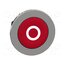 ZB4FA432 Switch: push-button; 30mm; Stabl.pos: 1; red; none; IP66; Ø30.5mm _zCj4paJu8Dfu2LDv8Wz63GL94spmEIHtlUpWaR432M