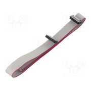 DS1052-01-162B2MA206001 Ribbon cable with IDC connectors; Tape ph: 1mm; Contacts ph: 2mm e71naEwI_HPV4IOpnyNd7-fbII10mec_ods6GJ9sHb8