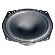 WOOFER WS20E 8Ω

 GAVSZWS20E.jpg