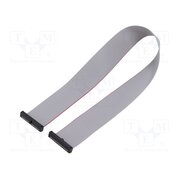 FFSD-17-D-12.75-01-N Ribbon cable with IDC connectors; IDC,both sides; 323.85mm rYDG5OL1aoWXqj7lXDRfABnuG_5sV08v9F9fTPlLjaA