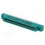 307-030-520-202 Connector: card edge; PIN: 30; 307; soldering; on PCBs; 3.96mm HE7pqmQycMwkTaSgVR_6K6bSD-8cKLblZX32wn7wSac