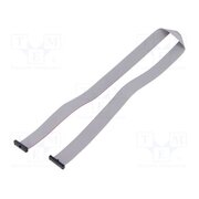 FFSD-13-D-22.00-01-N Ribbon cable with IDC connectors; IDC,both sides; 558.8mm; 22" QtLDwA412tK1uOvnKxByH8Eu7q9n9GkuC_sZFnUkZ2I