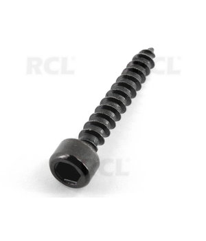 SKRUVES SPEC.5x30mm 24 gab.

 IVR5082.jpg