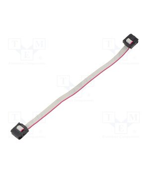 DS1052-01-062B2MA201501 Ribbon cable with IDC connectors; Tape ph: 1mm; Contacts ph: 2mm mBmHjP9OCFPpFEv72D6gu5kDjABKn5KvEeR-6ZHKteg