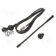 7667013 Antenna; automotive; 240mm; AM,FM; universal; rubber mast; 1.5m BRiqgqLzOFCcaw60YOYBRtoANXYJDTQwr6G4wmUpXl4