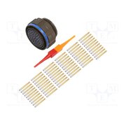 D38999/26WJ61SN Connector: military; plug; female; PIN: 61; straight; crimped; 7.5A Q56z8dkYkL70VGGjiwCwxfGgqmBqadb5TiOynR_usGA