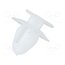 11013 Trim clip; 25pcs; Alfa Romeo,Fiat,Lancia; OEM: 14188282 5b-0LJLIWwIL7R7b9IVxemkYk8TMyyVfV_eLOfbnxyo