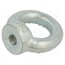 DIN 582-M10-ST Lifting eye nut; eye; M10; steel; zinc; DIN 582; 25mm bQ9t-rwk35eAFBU9WMyD0_2NkefeNigDXsfyAPUeSo8