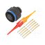D38999/26ZC98SN Connector: military; plug; female; PIN: 10; straight; crimped; 7.5A D8L6J7hitGxJCUP6Ub_CHkHyU3tw2InMbepjcZFt6NI