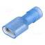 BM 80291 Terminal: flat; 6.3mm; 0.8mm; female; 1.5÷2.5mm2; crimped; tinned Thk-Qa-OO8dHWUx1YV8HsMwXQw17tD9xW94z9itHIHk