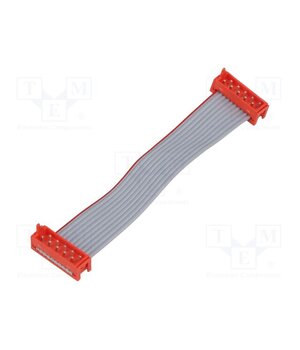 2205063-1 Ribbon cable with connectors; Tape ph: 1.27mm; PIN: 10; 2x5 62n9hsVJPMvz2zLp4REsvSWq6gE_FP3zxggk5S5KuM8