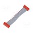 2205063-1 Ribbon cable with connectors; Tape ph: 1.27mm; PIN: 10; 2x5 62n9hsVJPMvz2zLp4REsvSWq6gE_FP3zxggk5S5KuM8
