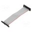 FFSD-17-D-04.00-01-N-SR Ribbon cable with IDC connectors; IDC,both sides; 101.6mm; 4" hHCqN3ZhP5G68myMzELQEcQSt96c1IfBApPqJxFGdPQ