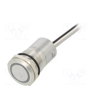 MC19LCSRG Switch: capacitive; Pos: 2; SPST-NC; 0.01A/12VDC; IP68; ON-OFF; MC FXDjzp3qcl4hM3VRjVPGL50gAM7WlMLXcljJAyMKSRg