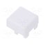 BTN D6 00 F Button; white 8lU-Qa8b7nkXm-LpYZf9z2XjLPaR3Wmn9YzpWDjQ-jQ