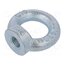 NZU16 Lifting eye nut; eye; M16; steel; Plating: zinc; DIN 582; 35mm k1UOXOOtREtBINHVBt4spPeMNgCgG_gp7VvPz6DD9Qc